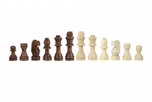 Фотография Шахматные фигуры деревянные Partida 5,6 см [=city]